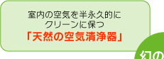 ���̎������