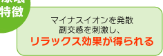 ���̎������